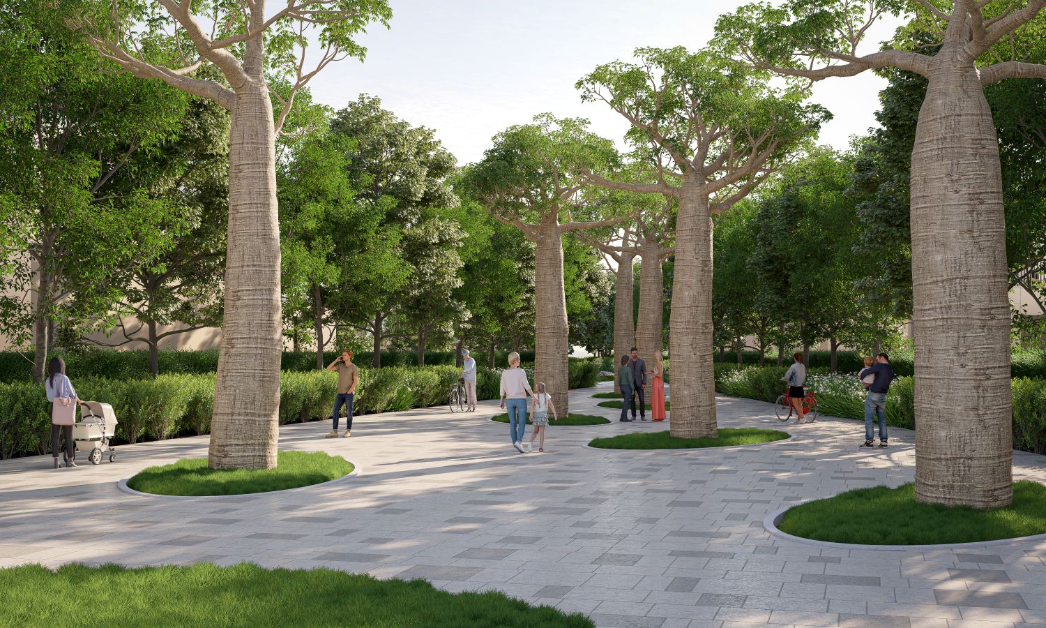 BAOBAB PARK_TREECOURT