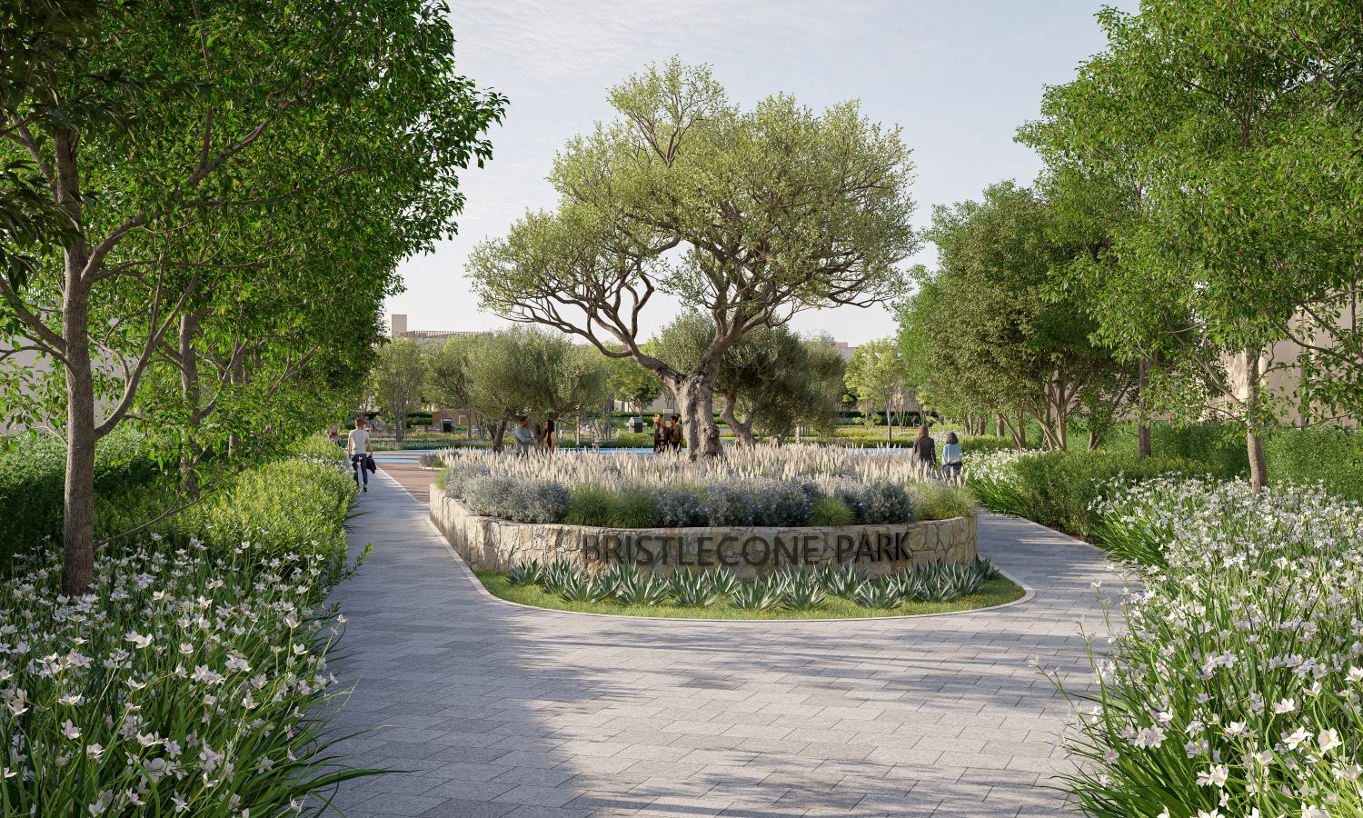 BRISTLECONE PARK_ENTRY